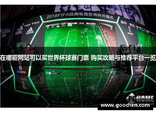 在哪些网站可以买世界杯球赛门票 购买攻略与推荐平台一览