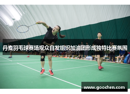 丹麦羽毛球赛场观众自发组织加油团形成独特比赛氛围