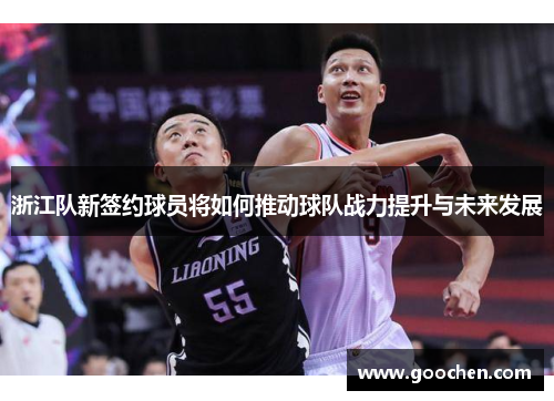 浙江队新签约球员将如何推动球队战力提升与未来发展