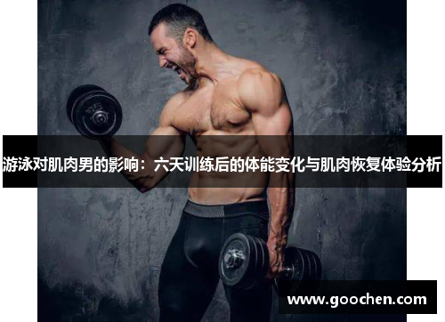 游泳对肌肉男的影响：六天训练后的体能变化与肌肉恢复体验分析