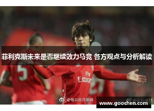 菲利克斯未来是否继续效力马竞 各方观点与分析解读 菲利克斯未来是否继续效力马竞 各方观点与分析解读