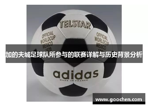 加的夫城足球队所参与的联赛详解与历史背景分析 加的夫城足球队所参与的联赛详解与历史背景分析